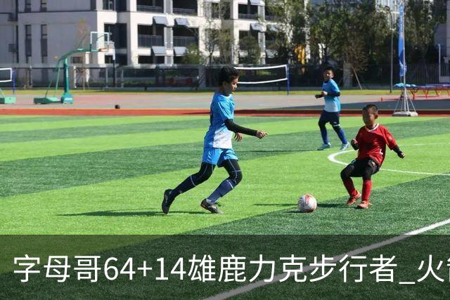 字母哥64+14雄鹿力克步行者 火箭擒灰熊4连胜